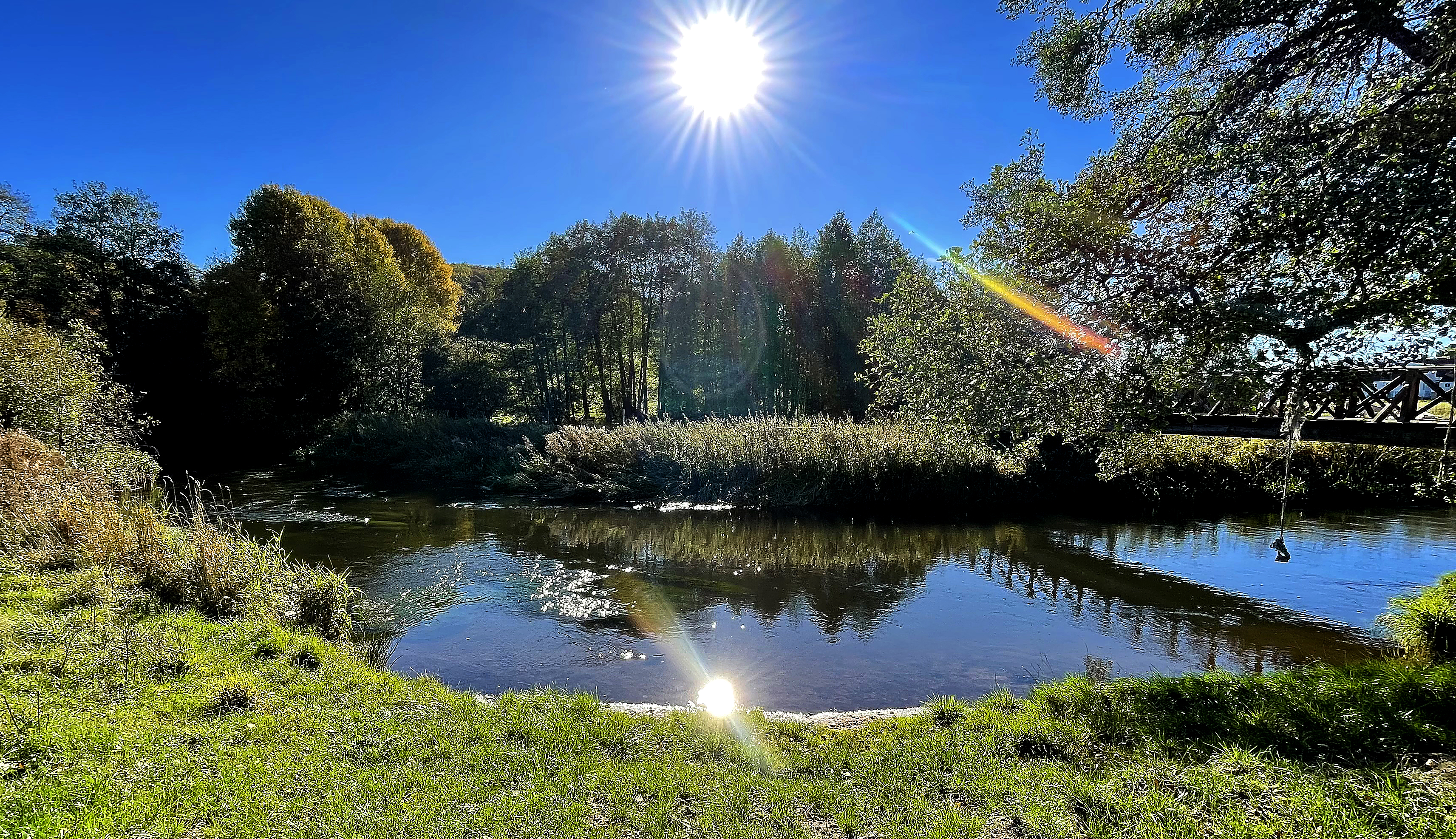 Ådalen udenfor Vejle. Lav træbro over sø med græs og træer omkring. Sol skinner fra skyfri himmel